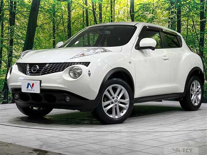 2010 Nissan Juke