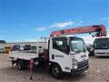 2010 Isuzu Isuzu Others