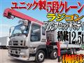 2009 Isuzu Isuzu Others