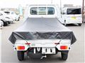 2017 Suzuki Carry Truck
