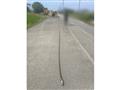 2006 Isuzu Isuzu Others