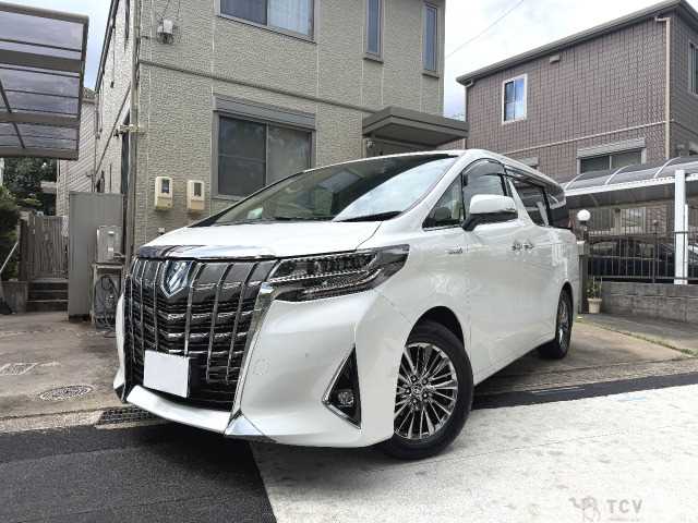 2019 Toyota Alphard G