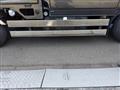 2009 Isuzu Isuzu Others