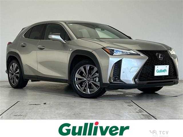 2020 Lexus UX