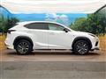 2019 Lexus NX