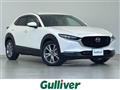2021 Mazda CX-3