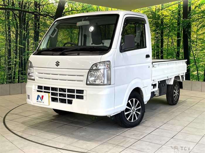 2018 Suzuki Carry Truck