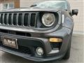2019 Chrysler Renegade