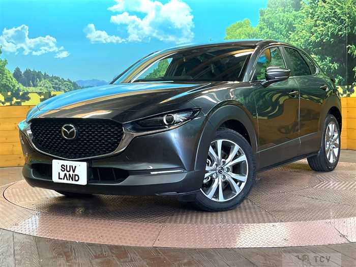 2023 Mazda Mazda Others