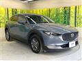 2021 Mazda Mazda Others
