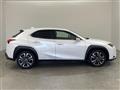 2019 Lexus UX