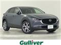 2021 Mazda CX-3