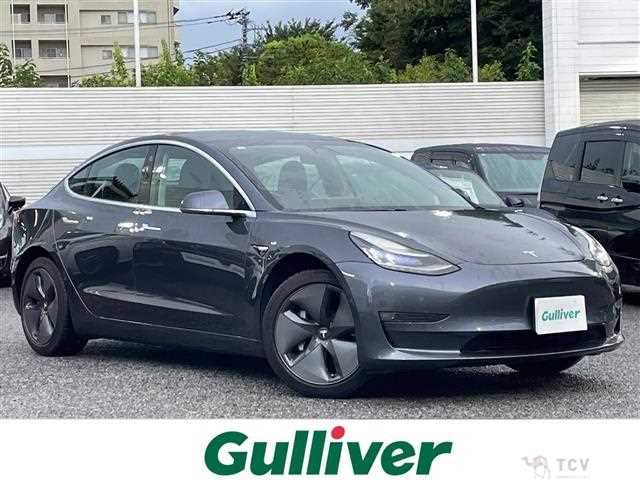 2019 Tesla Motors Others