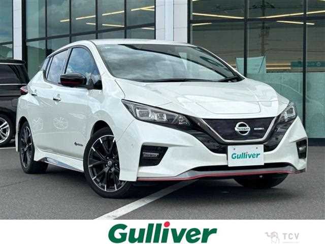 2019 Nissan Leaf