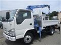 2009 Isuzu Isuzu Others