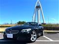 2010 BMW Z4