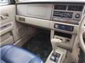 1999 Nissan Rasheen