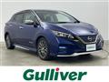 2021 Nissan Leaf