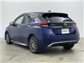 2021 Nissan Leaf