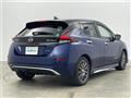 2021 Nissan Leaf