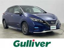 2021 Nissan Leaf