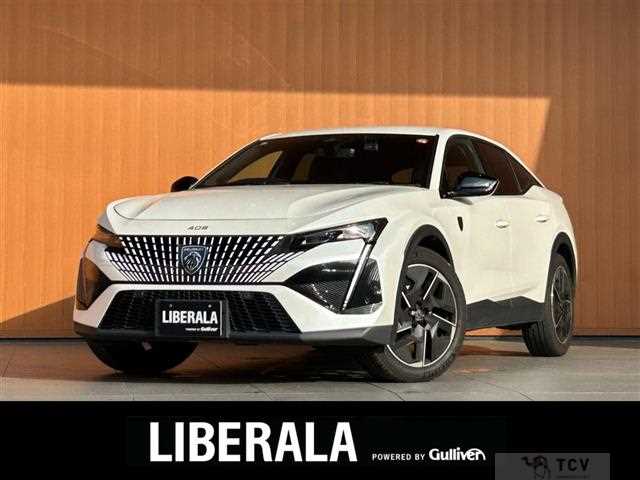 2024 Peugeot Peugoet Others