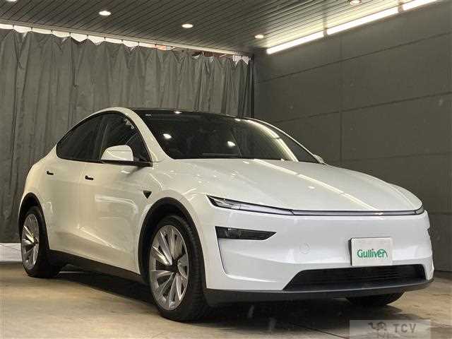 2025 Tesla Motors Others