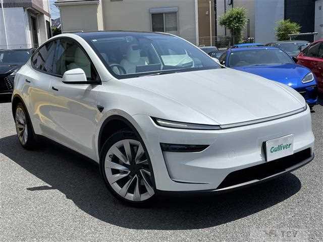 2025 Tesla Motors Others