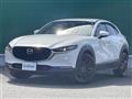 2019 Mazda CX-3