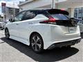 2019 Nissan Leaf