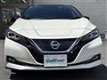 2019 Nissan Leaf