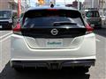 2019 Nissan Leaf