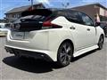 2019 Nissan Leaf