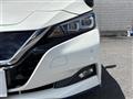 2019 Nissan Leaf
