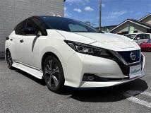 2019 Nissan Leaf