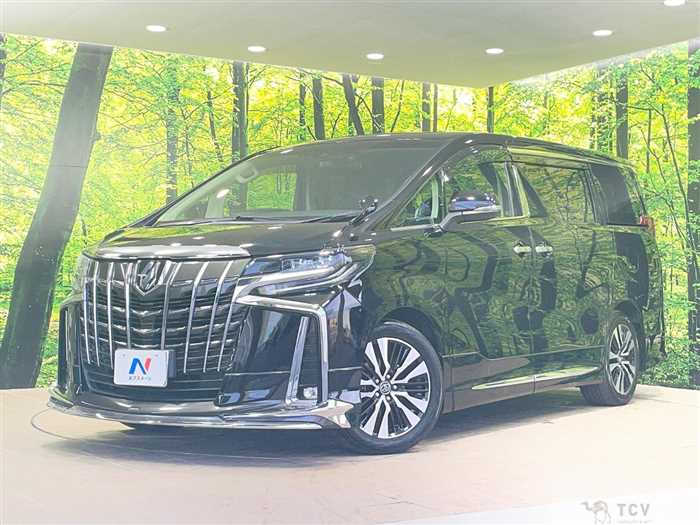 2019 Toyota Alphard