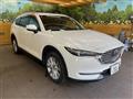 2018 Mazda CX-8