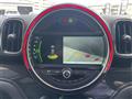 2017 BMW MINI