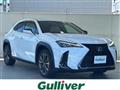 2021 Lexus UX