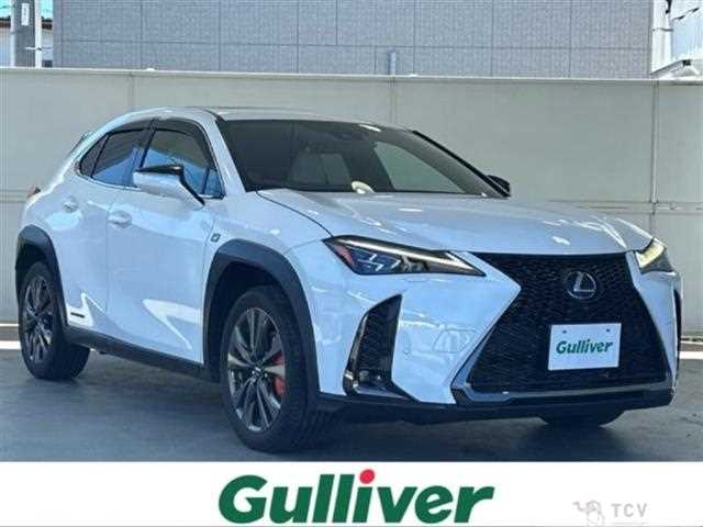 2021 Lexus UX