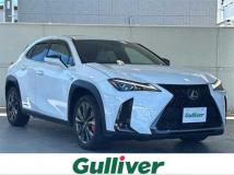2021 Lexus UX