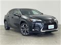2019 Lexus UX