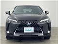 2019 Lexus UX
