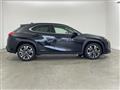 2019 Lexus UX