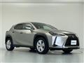 2021 Lexus UX