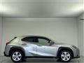 2021 Lexus UX