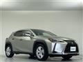 2021 Lexus UX