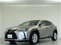2021 Lexus UX