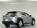 2021 Lexus UX