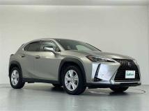 2021 Lexus UX